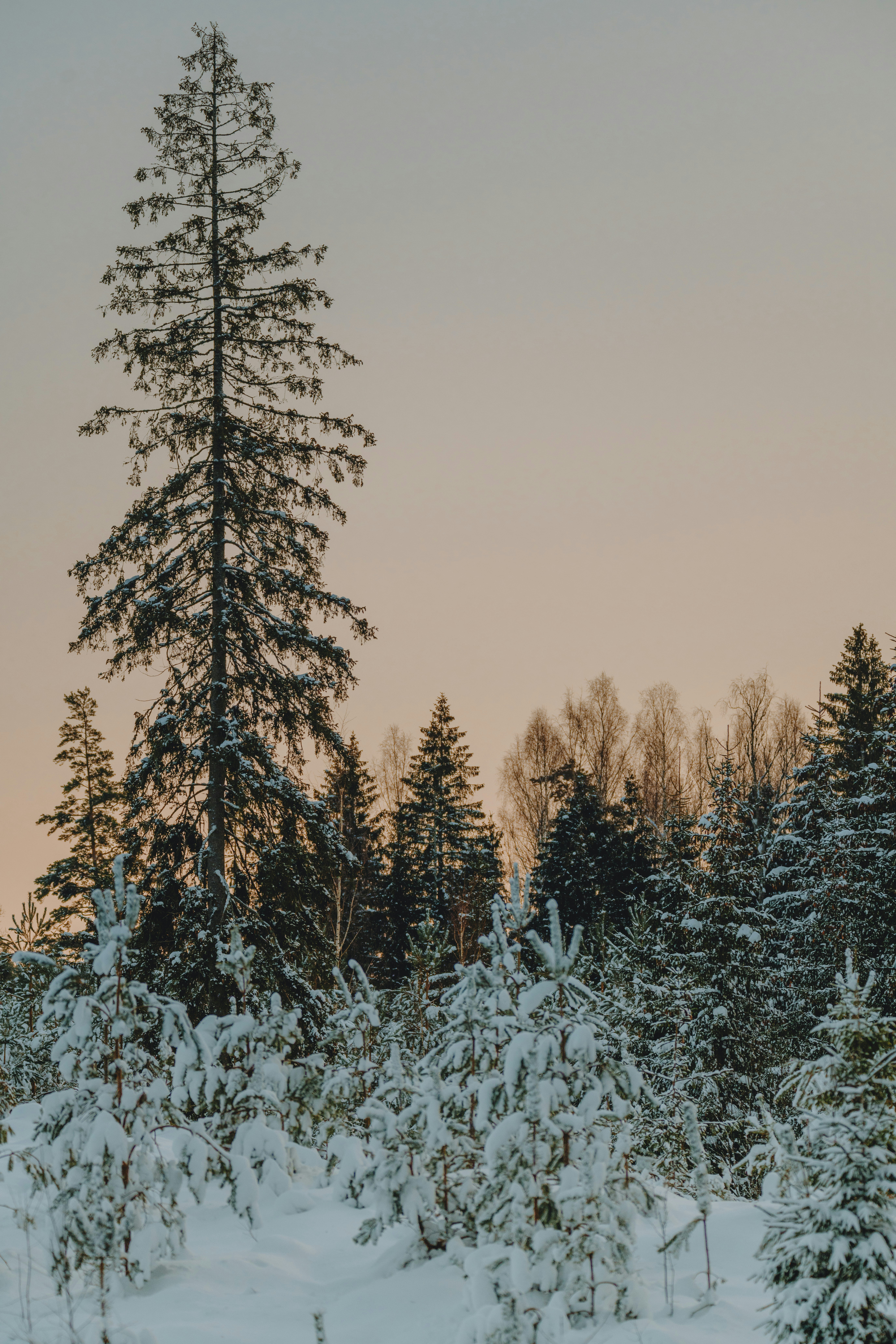 Photo by anitaaustvika