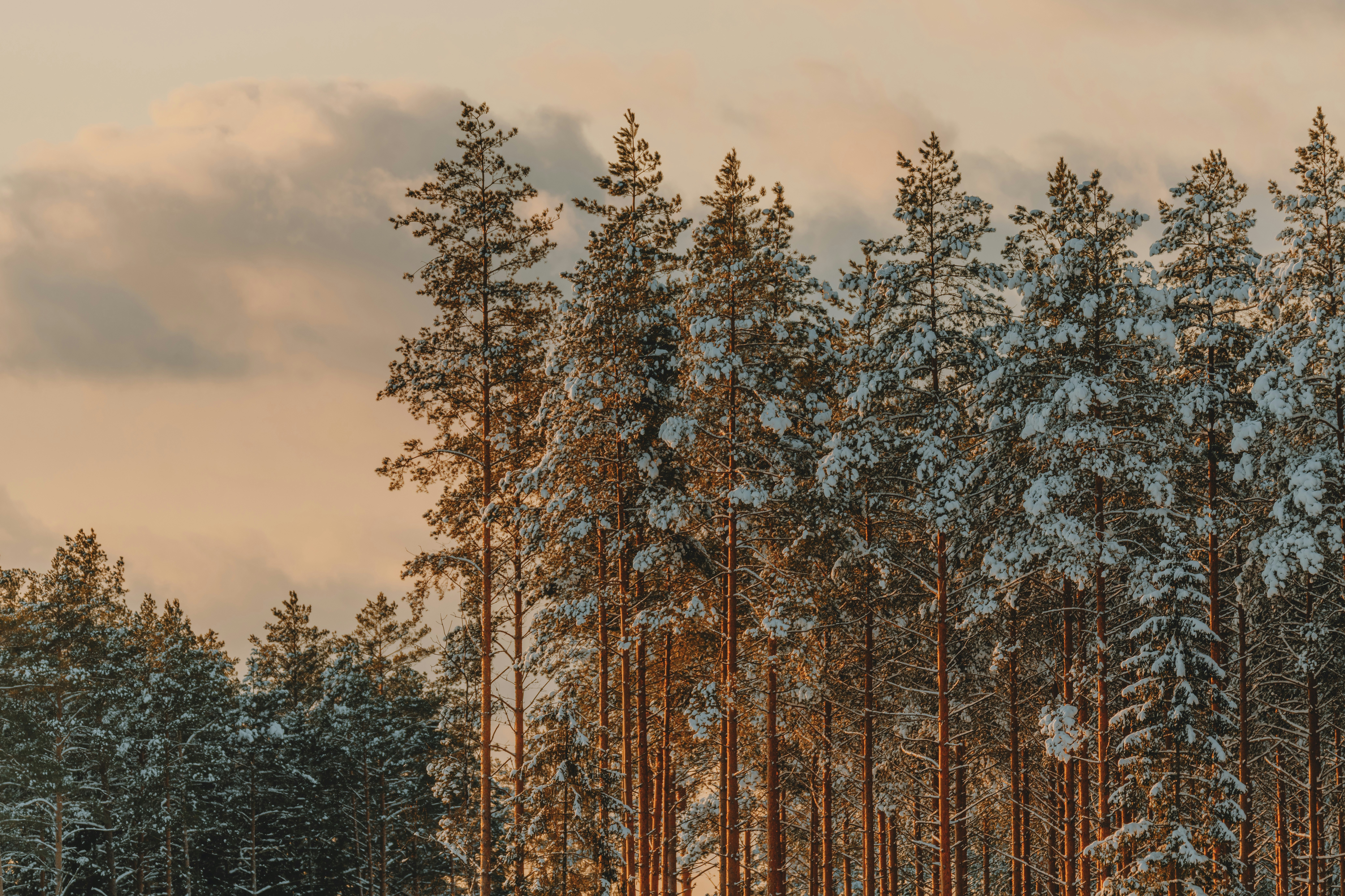 Photo by anitaaustvika