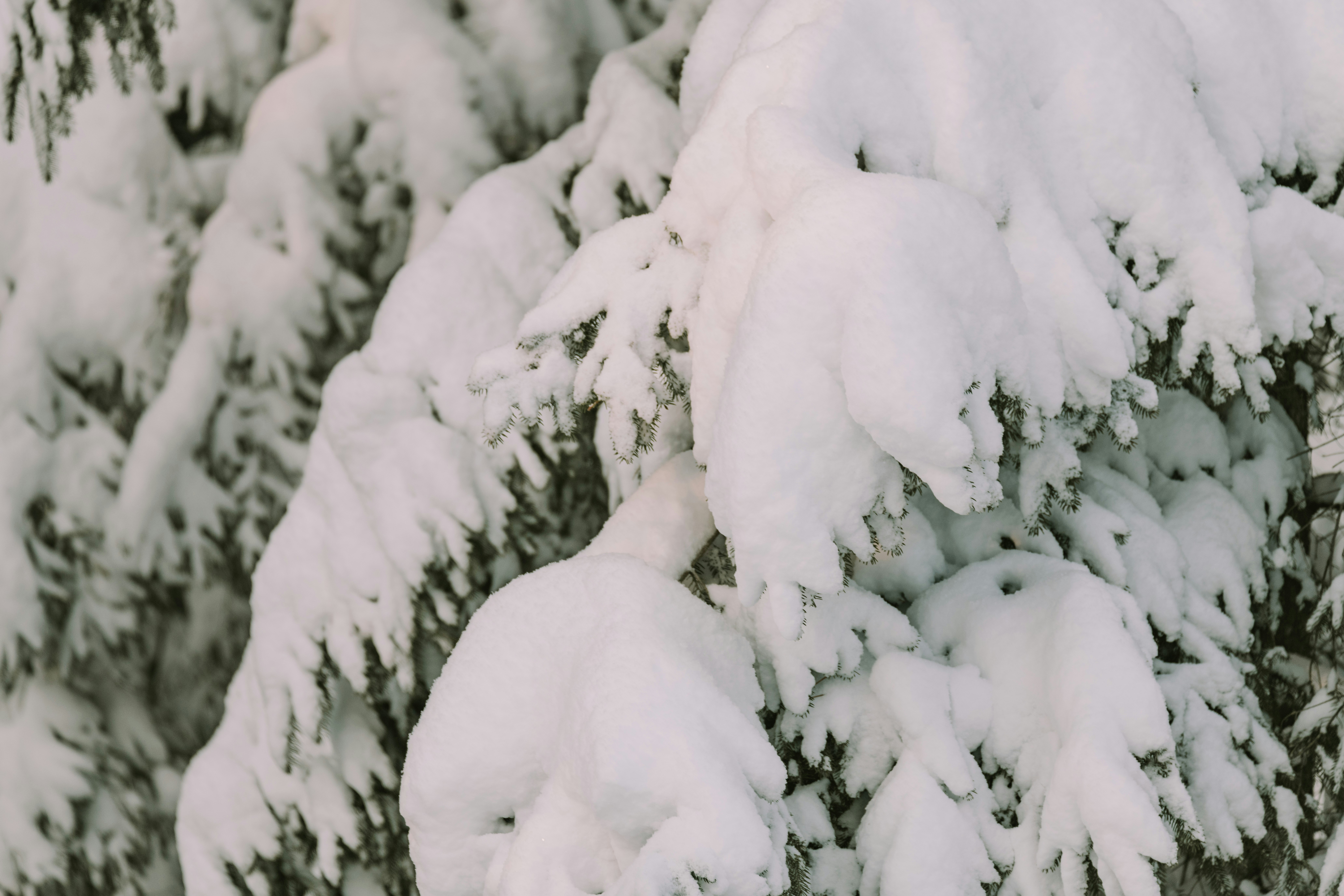 Photo by anitaaustvika