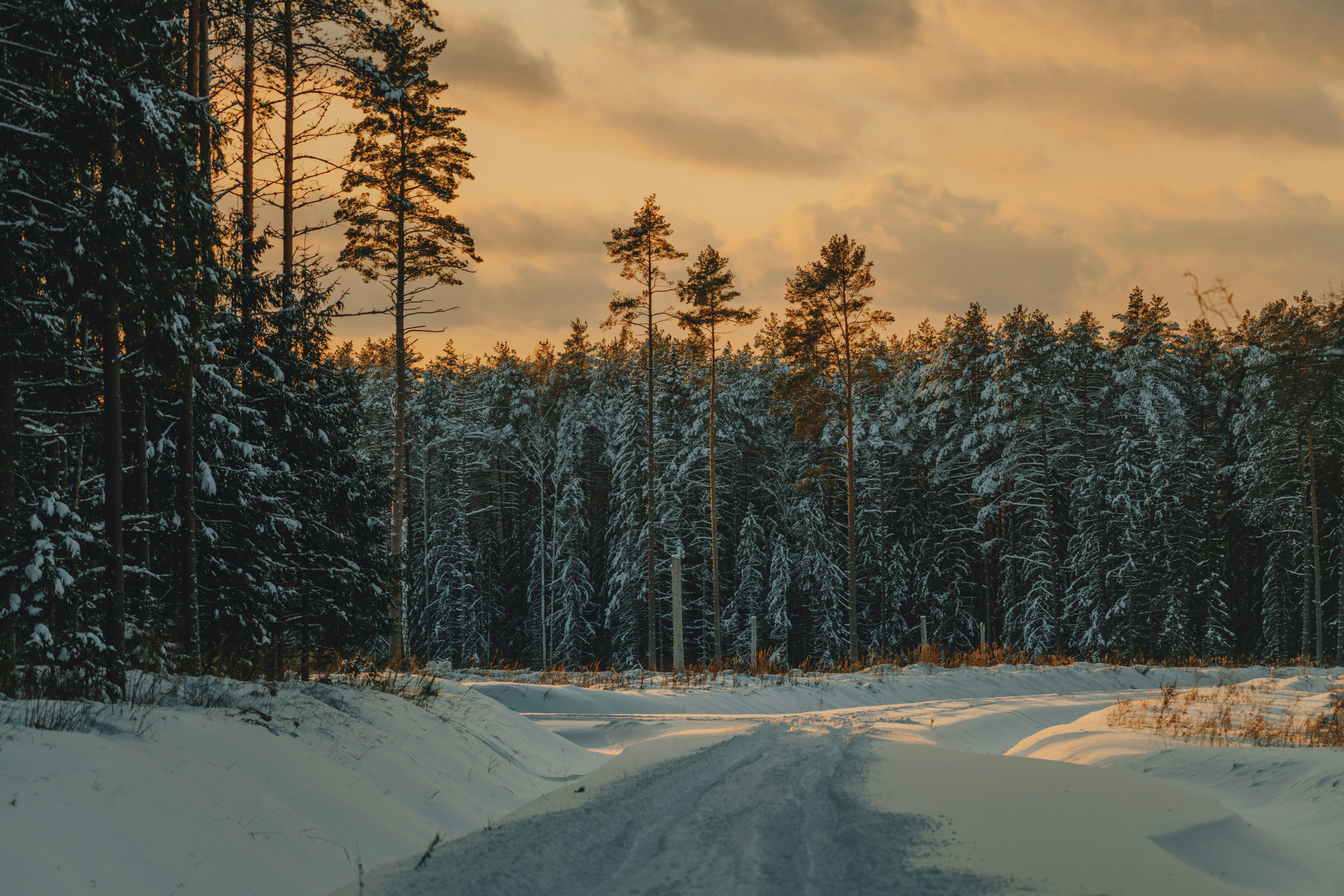 Photo by anitaaustvika