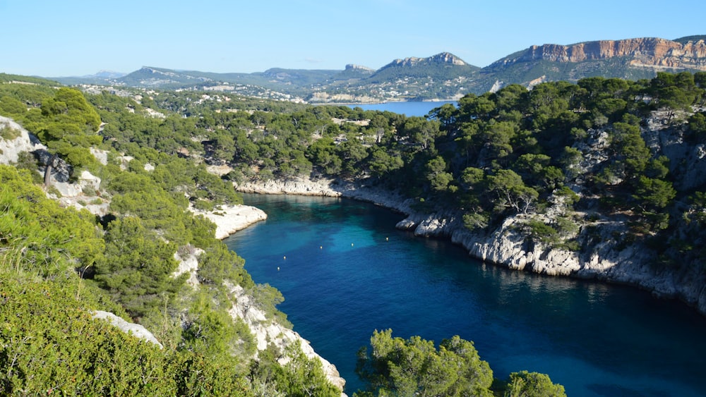 a body of water surrounded by trees and mountains