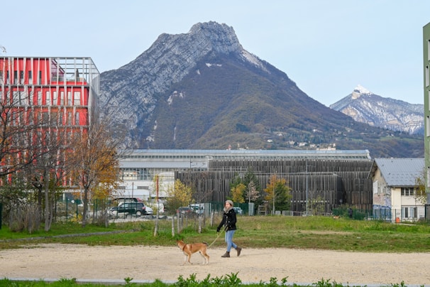 A person is walking a dog in a park area with a backdrop of mountains. The scene is set against an urban landscape with modern and industrial buildings. The trees show signs of autumn, and the mountains have patches of snow.