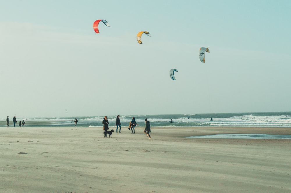 a group of people standing on top of a sandy beach