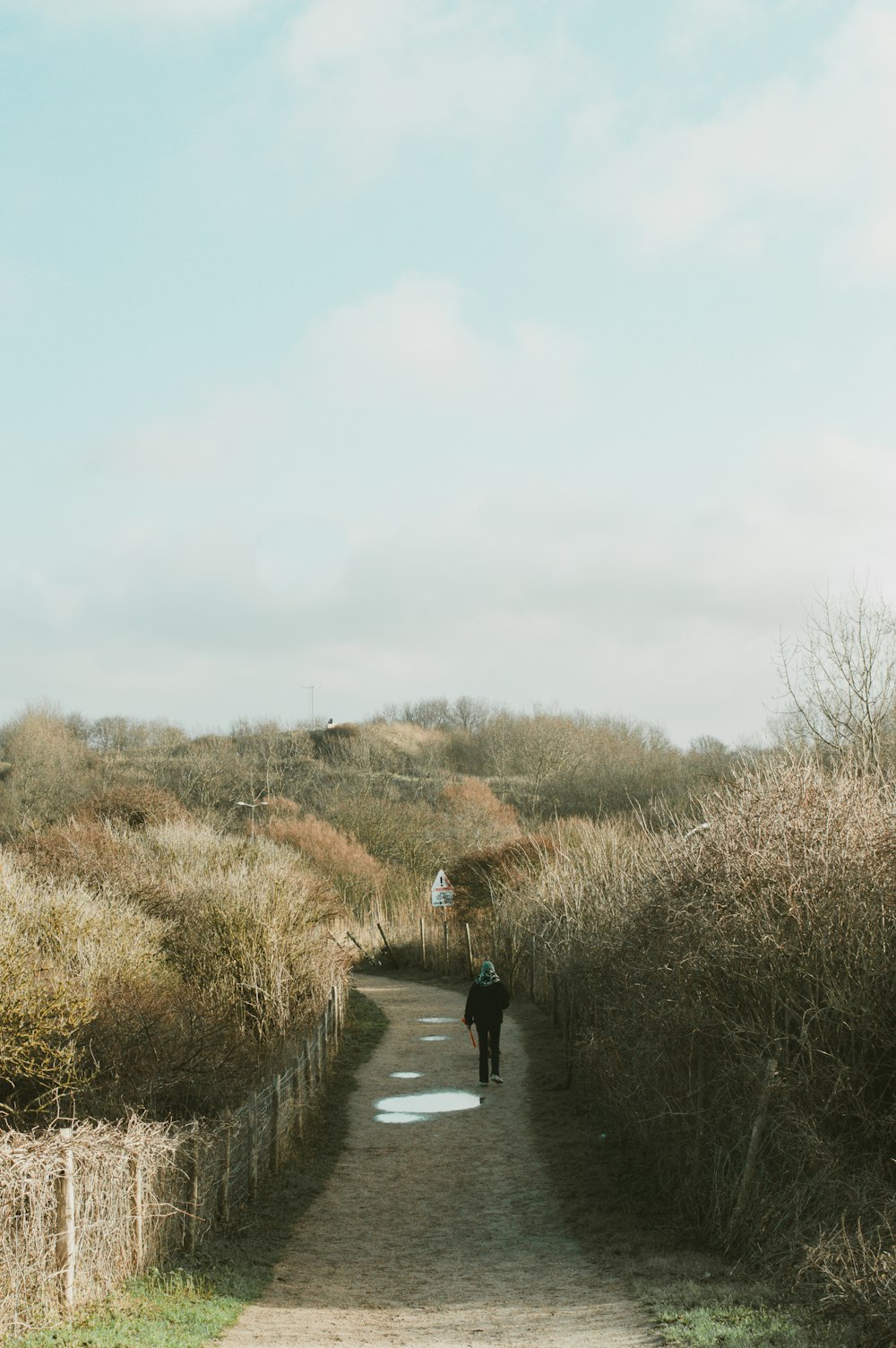 a person walking down a dirt road in a field