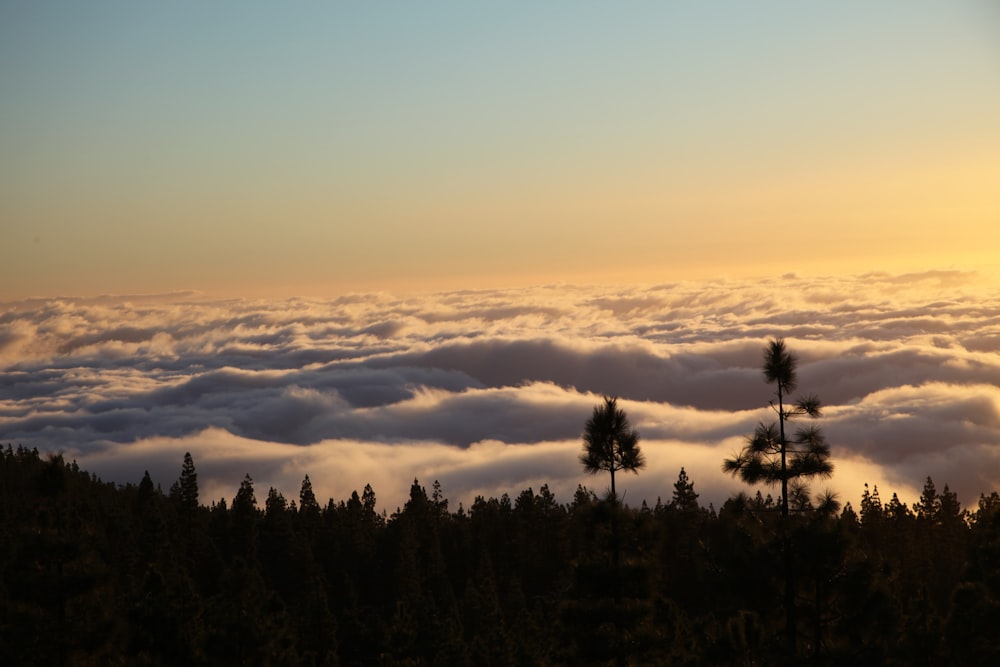 the sun is setting over the clouds and trees
