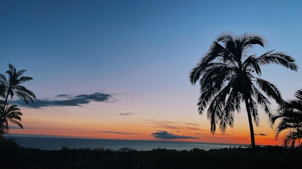 A tranquil sunset on the beaches of Goa with palm trees silhouetted against the orange sky.