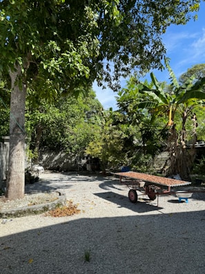 A lush, green backyard surrounded by a variety of trees and plants, including banana trees and other dense foliage. There is a gravel-covered ground with a stone-bordered plant bed on the left. In the center, a cart with two wheels is positioned, possibly for gardening or transporting goods. The shadows cast by the trees and cart indicate that it is sunny.