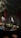 A dimly lit bar with a rustic atmosphere. Overhead, green foliage and hanging red ribbons create a dramatic ceiling display. The bartender is preparing drinks behind a counter filled with bottles and utensils. Warm lighting enhances the cozy ambiance, while patrons sit at the counter.