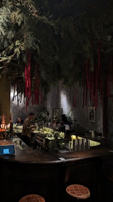 A dimly lit bar with a rustic atmosphere. Overhead, green foliage and hanging red ribbons create a dramatic ceiling display. The bartender is preparing drinks behind a counter filled with bottles and utensils. Warm lighting enhances the cozy ambiance, while patrons sit at the counter.