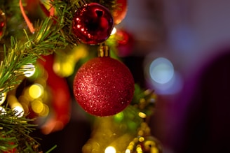 a red ornament hanging from a christmas tree