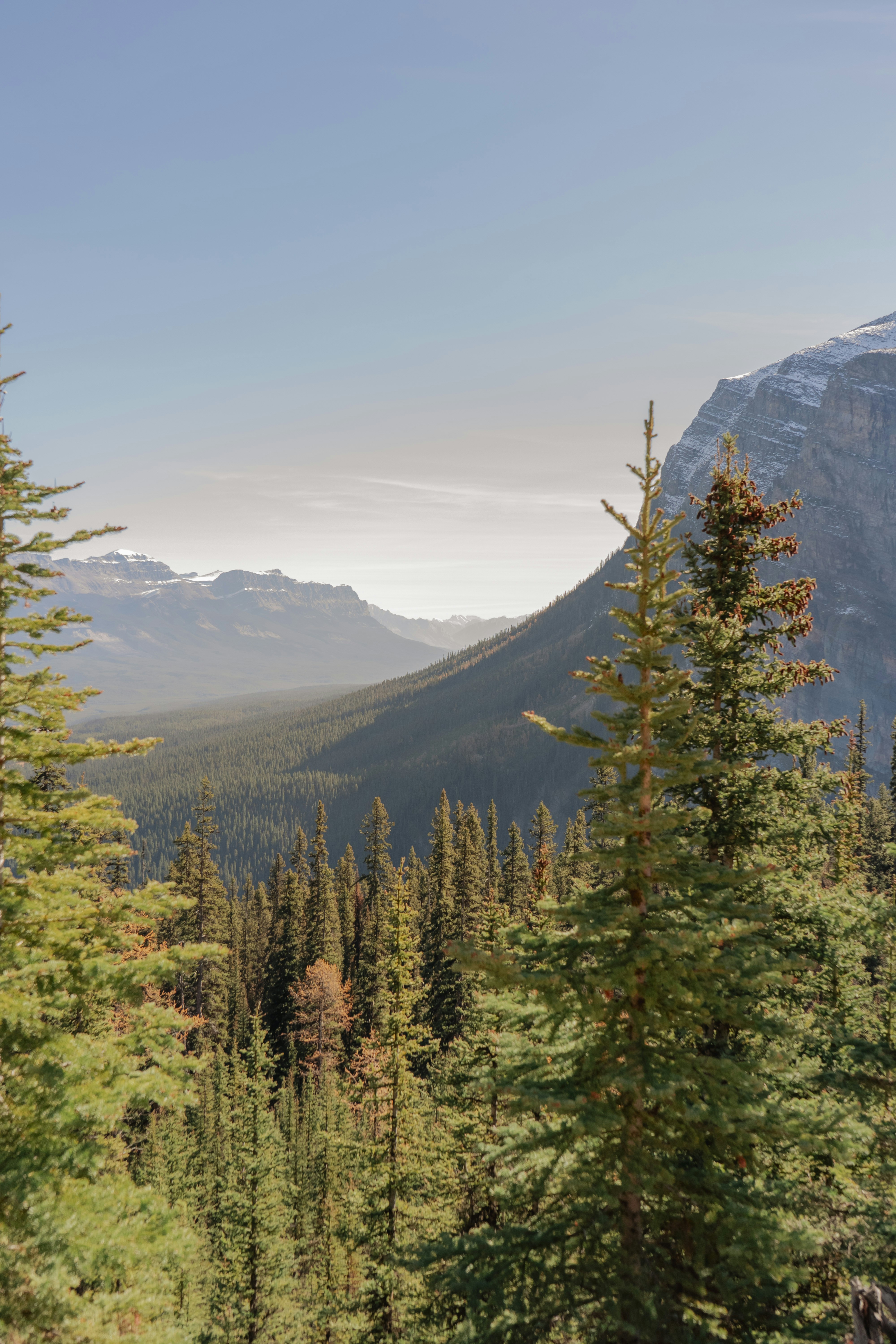 Photo by dougschneiders