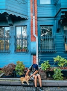 A person wearing a hat is sitting on the curb of a cobblestone street, petting a ginger cat. The background features a blue wooden house with ornate details and a red brick accent, along with pots of greenery and plants.