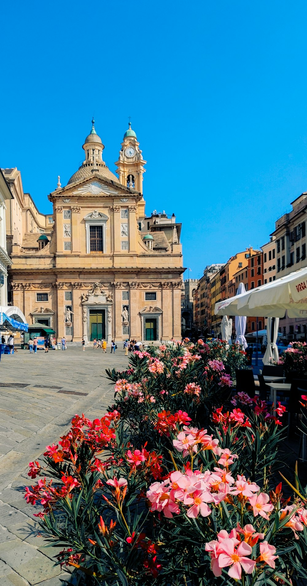 a large building with a bunch of flowers in front of it