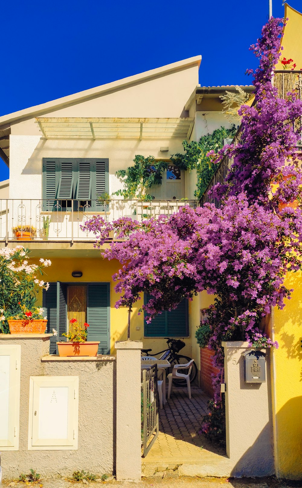 a yellow house with purple flowers on it