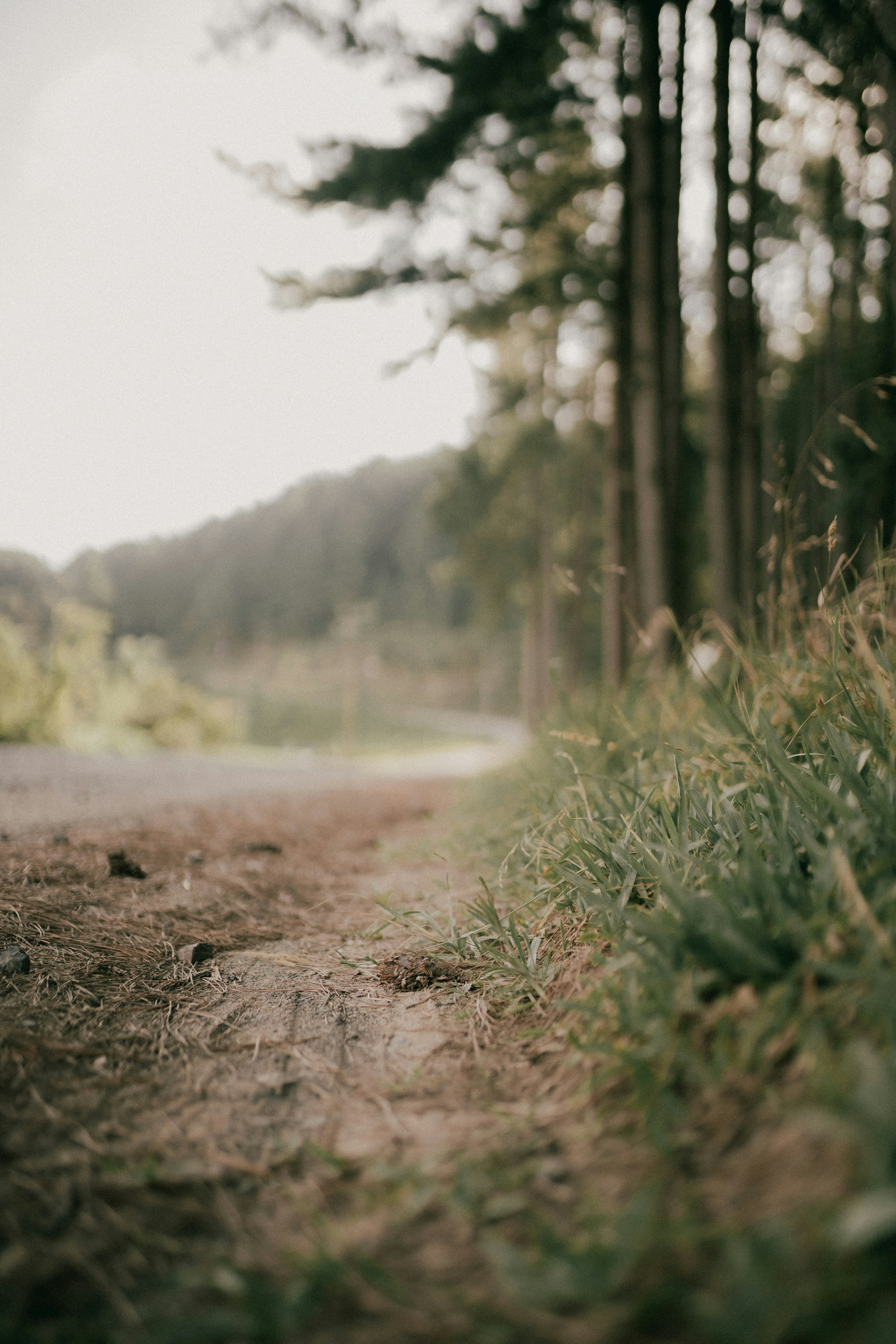 Photo by alexandermassph