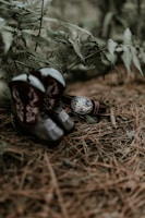 A pair of cowboy boots and a belt with an ornate buckle are placed on a forest floor covered with pine needles and surrounded by green ferns.