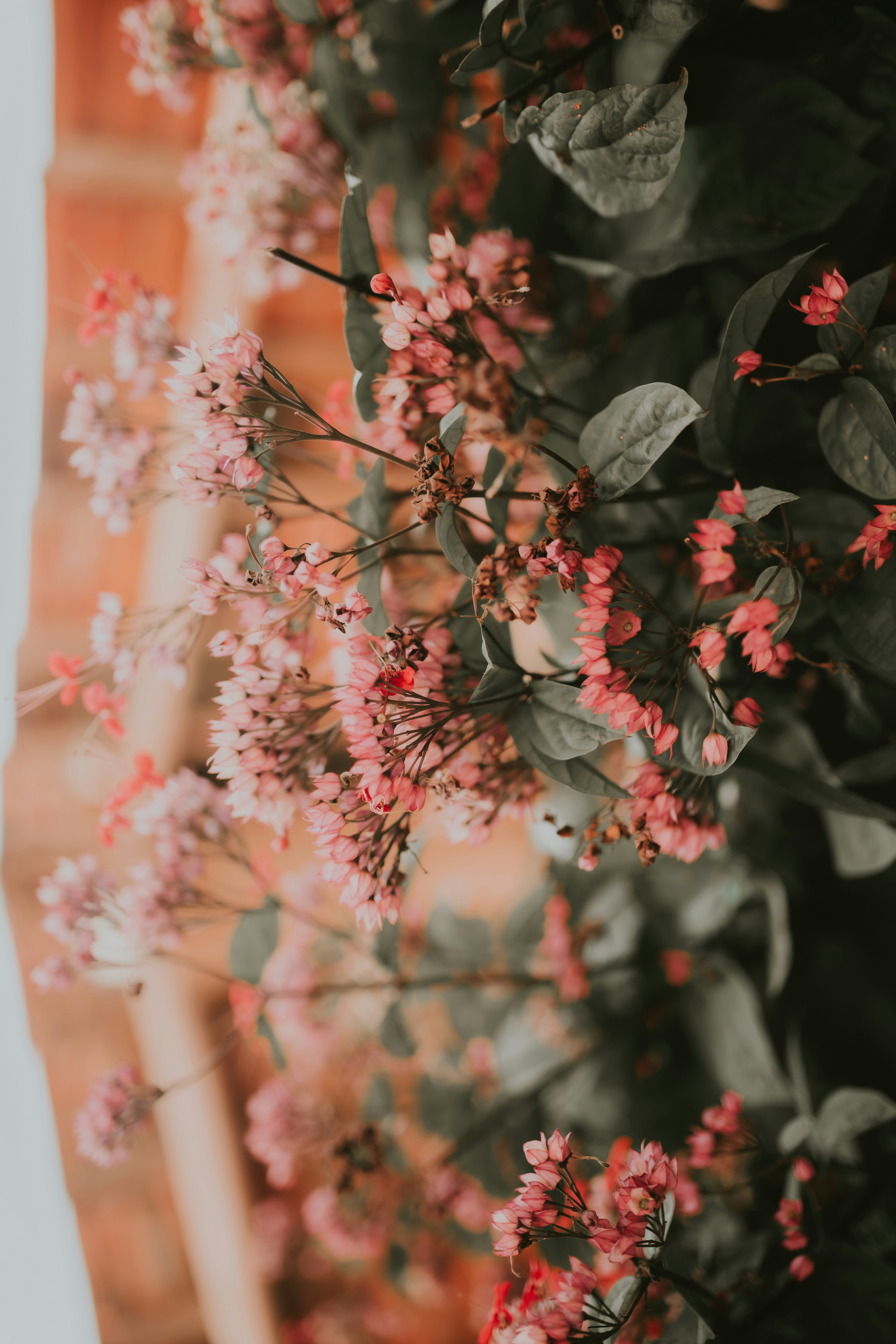 Photo by alexandermassph