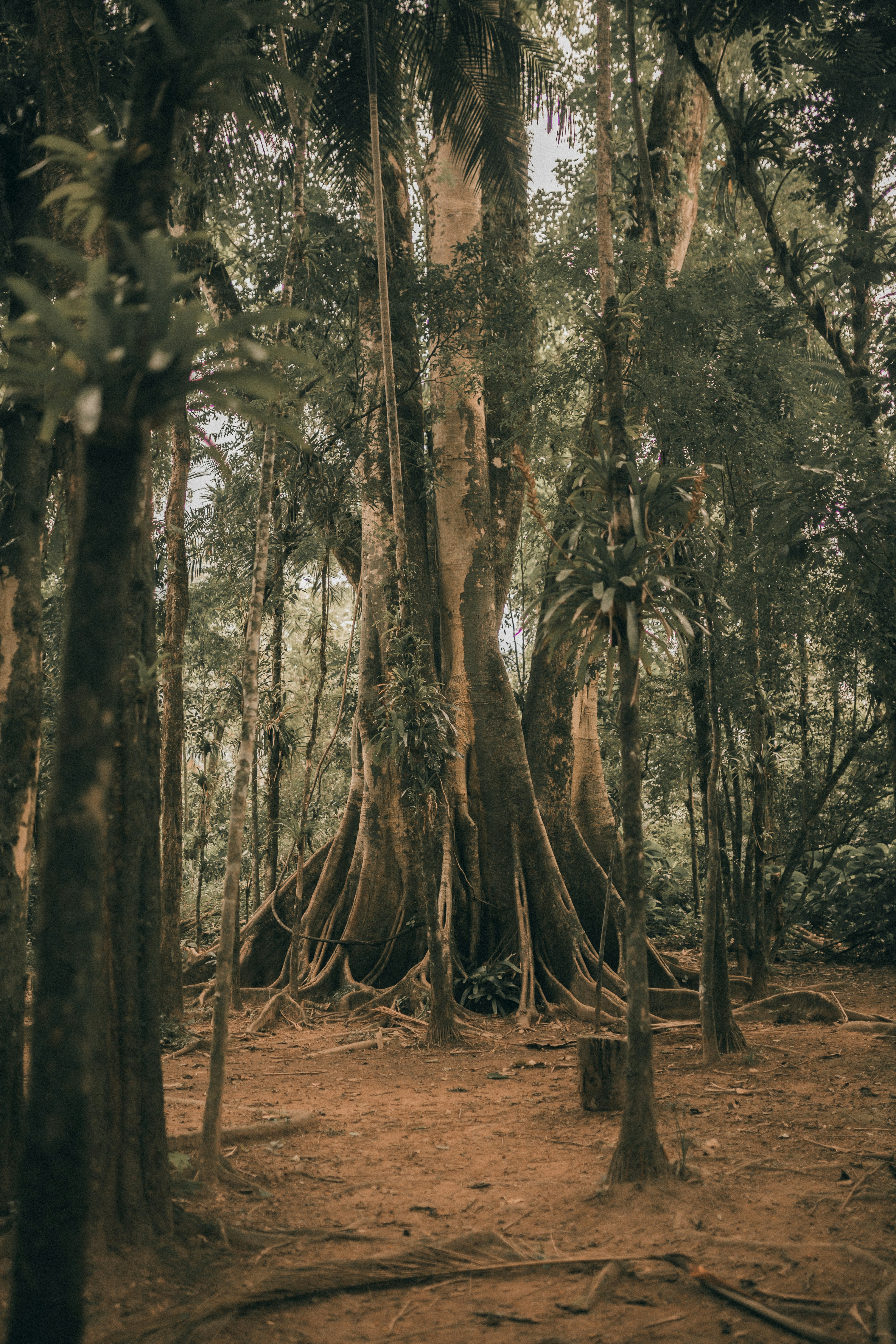 Photo by alexandermassph