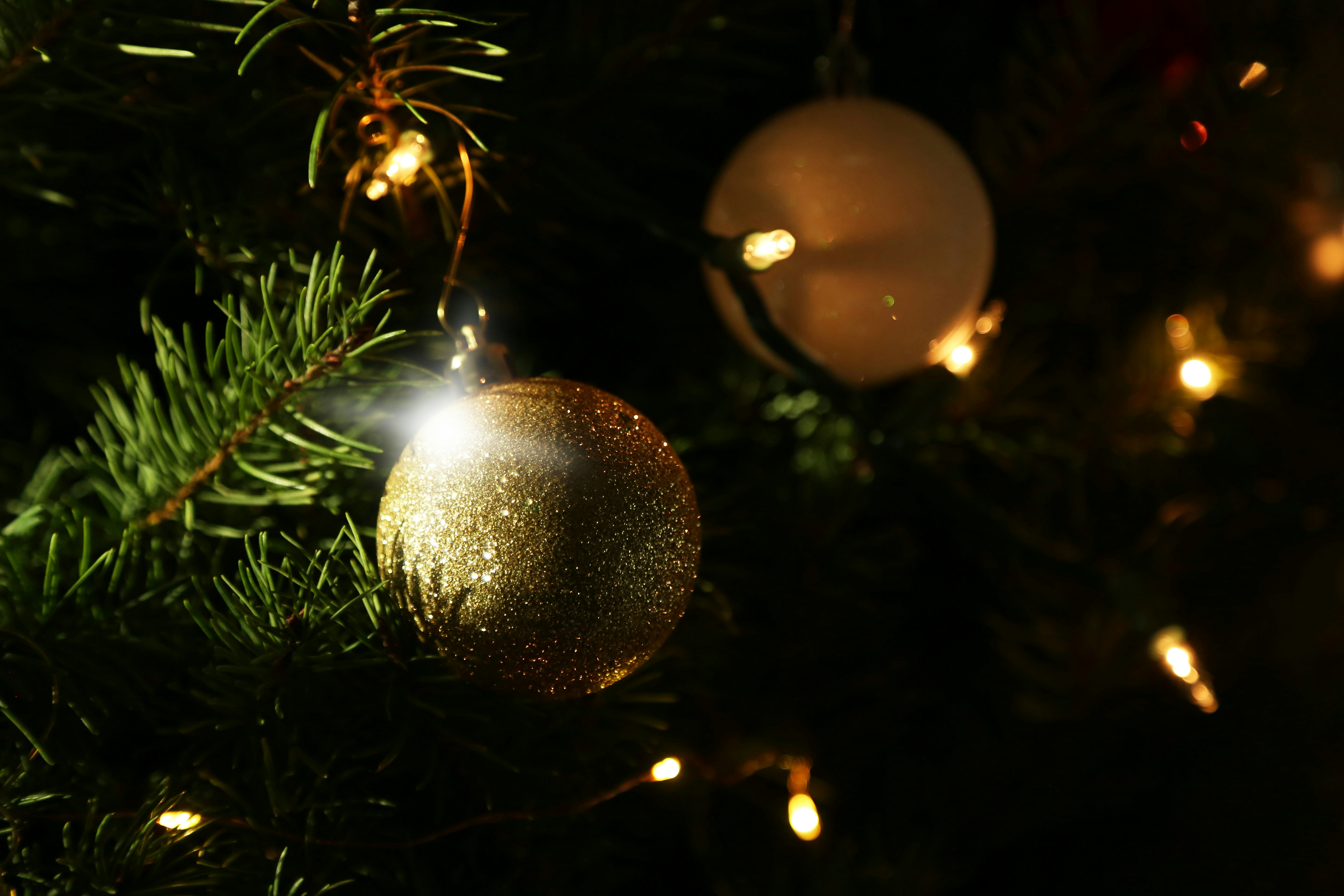 Photo by giorgiotrovato