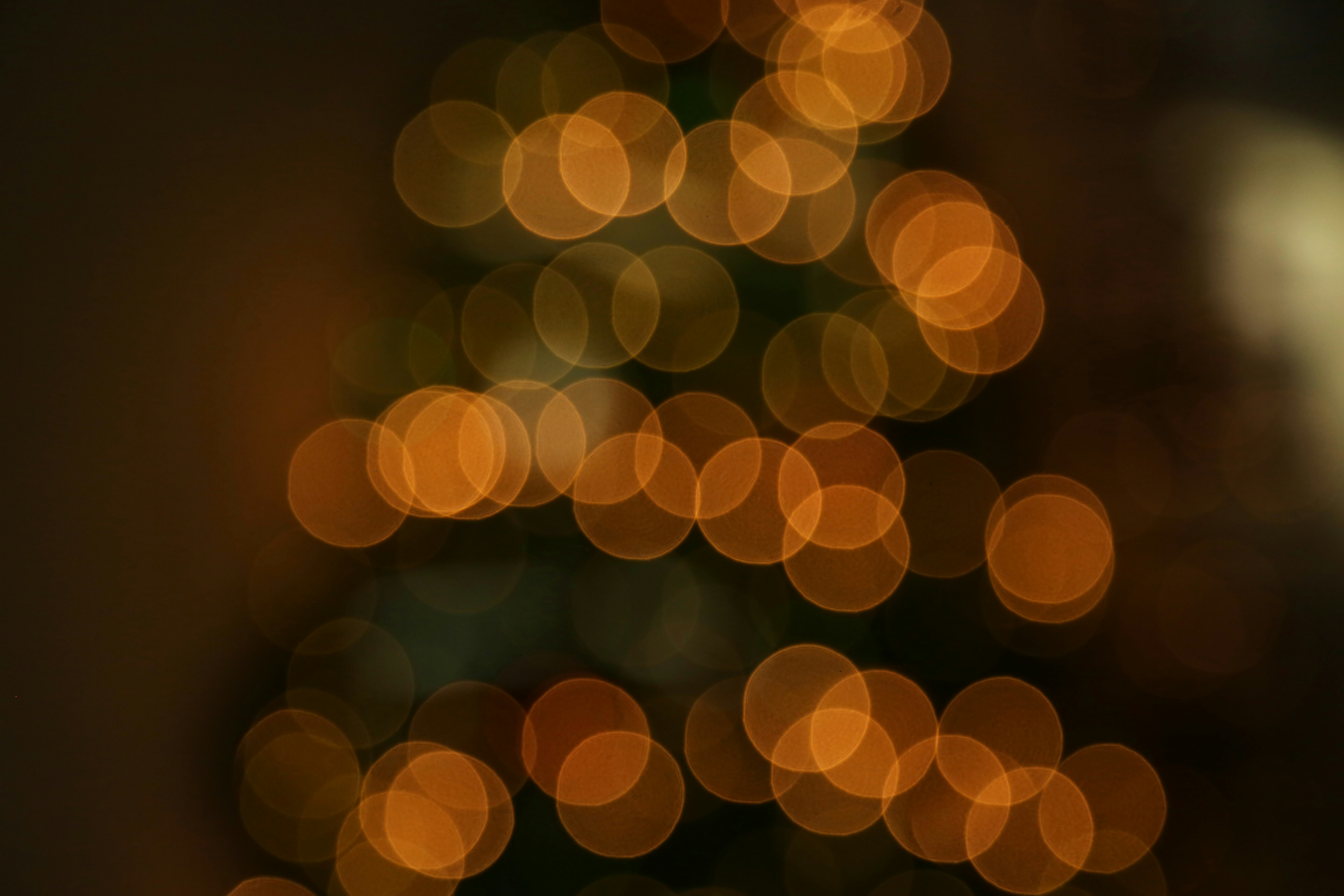 Photo by giorgiotrovato