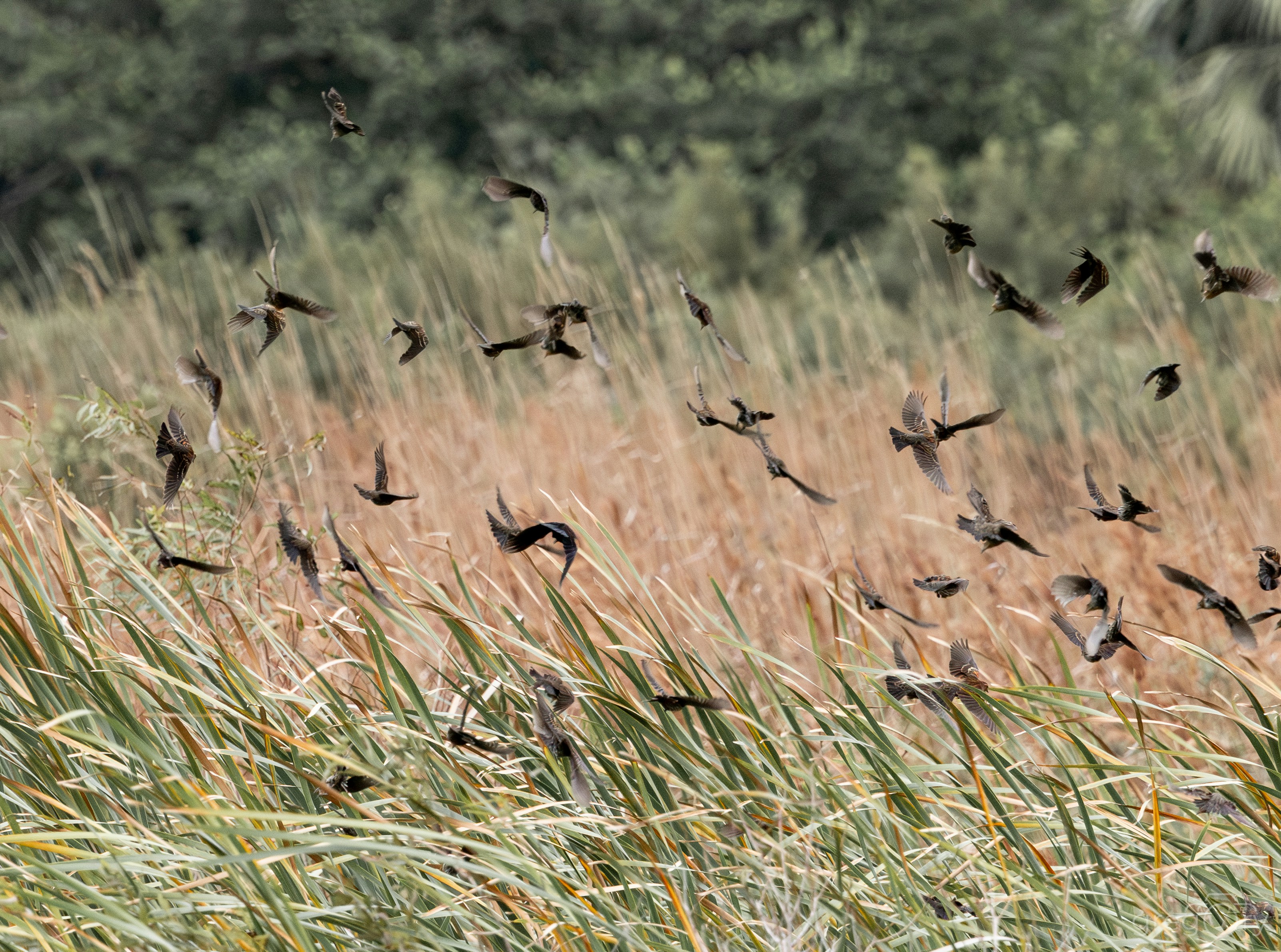 Photo by sailorgreg123