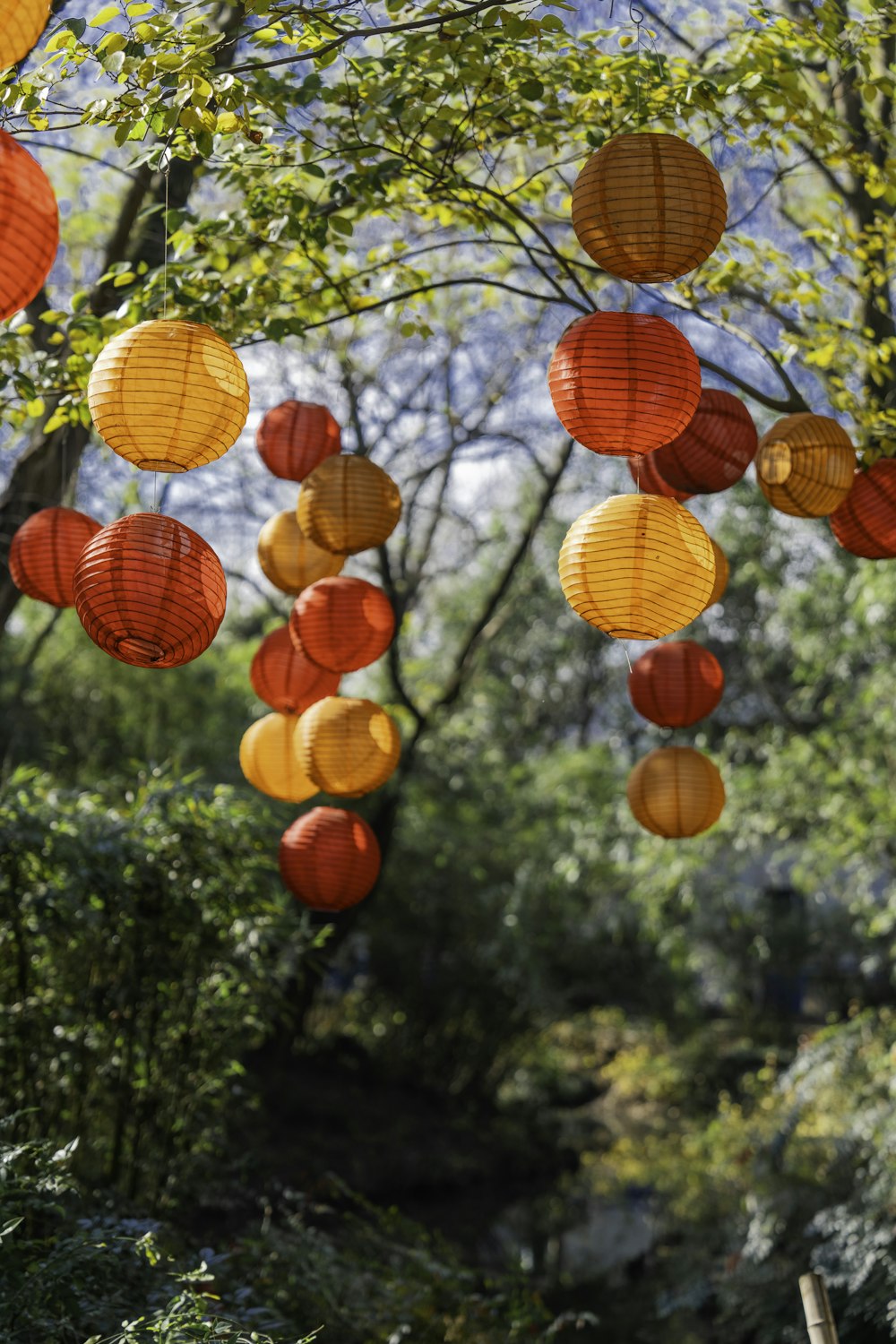 a bunch of paper lanterns hanging from a tree