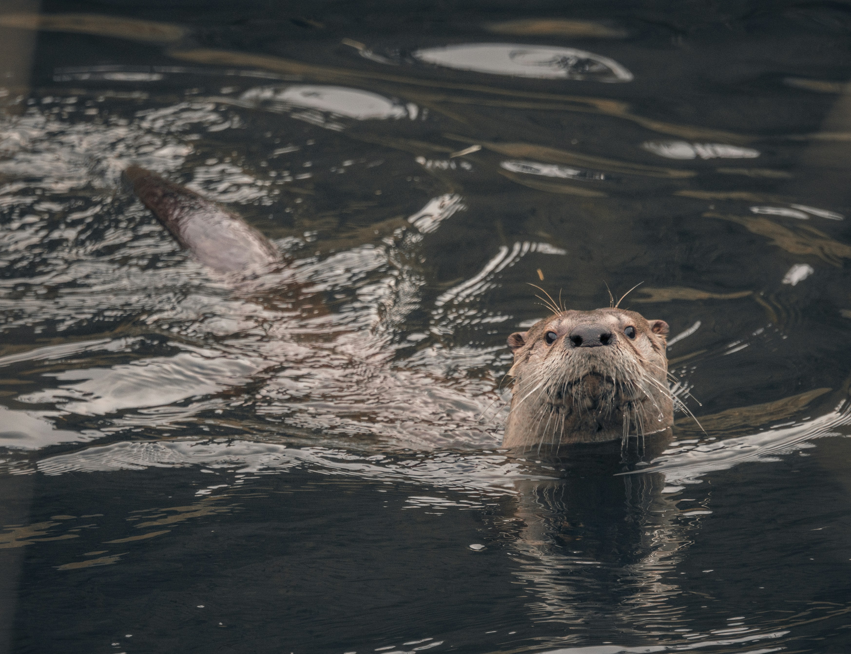 Photo by sailorgreg123