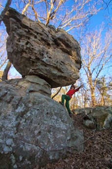 A person in casual athletic clothing is climbing a large, uniquely shaped rock formation in a forest. The rock appears to be balancing precariously. Bare tree branches fill the background under a clear blue sky.