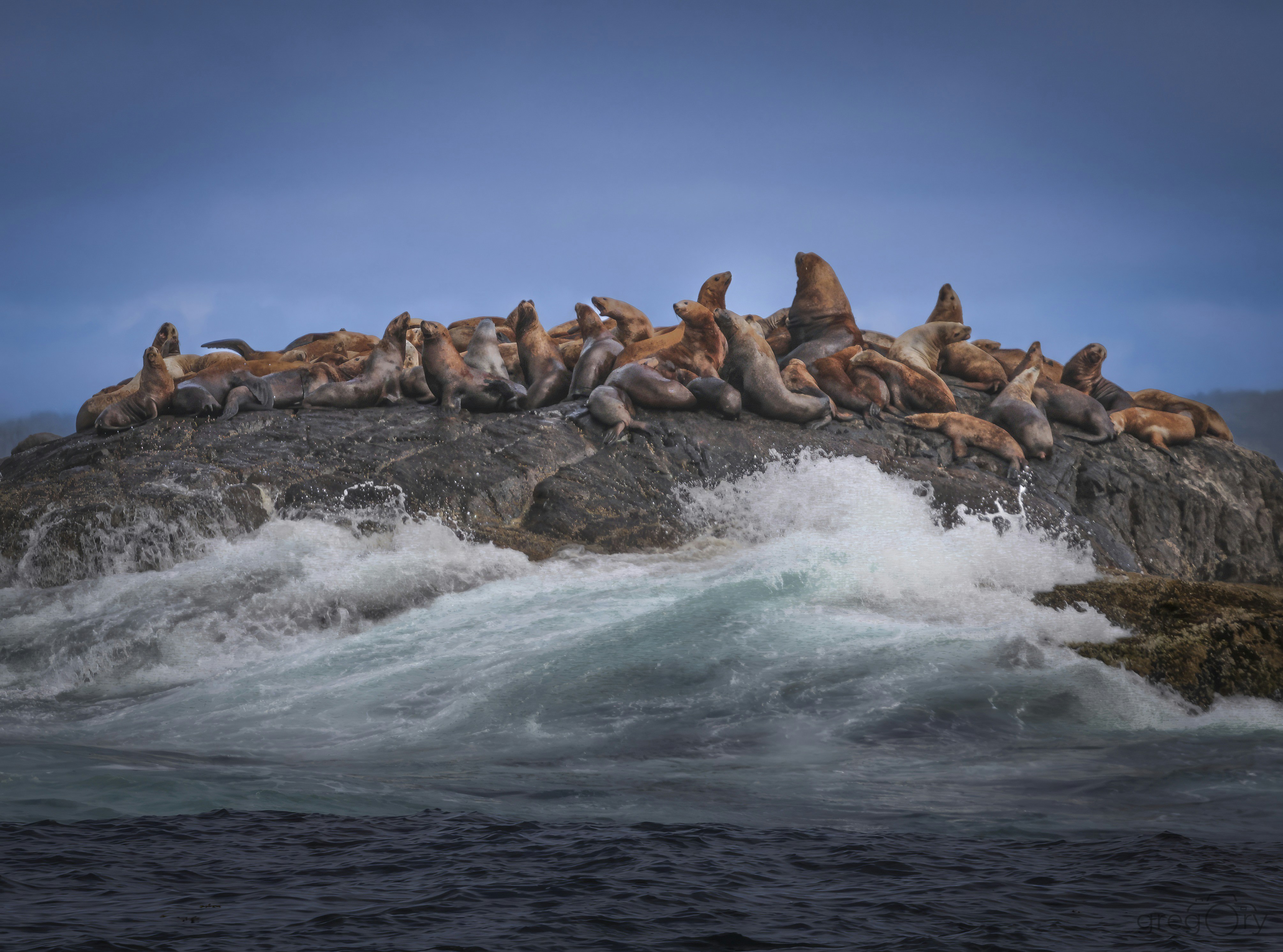 Photo by sailorgreg123