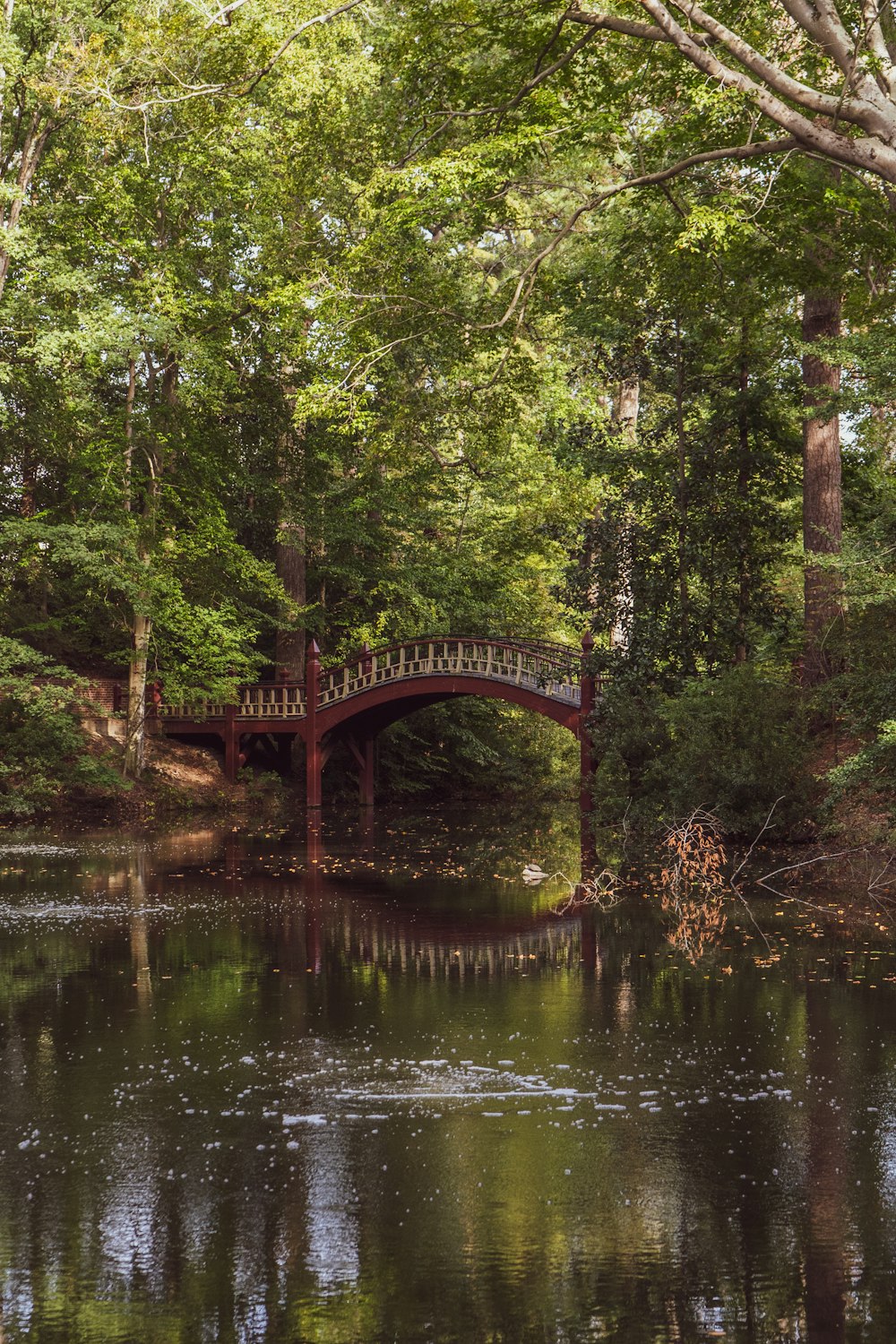 a bridge over a river surrounded by trees