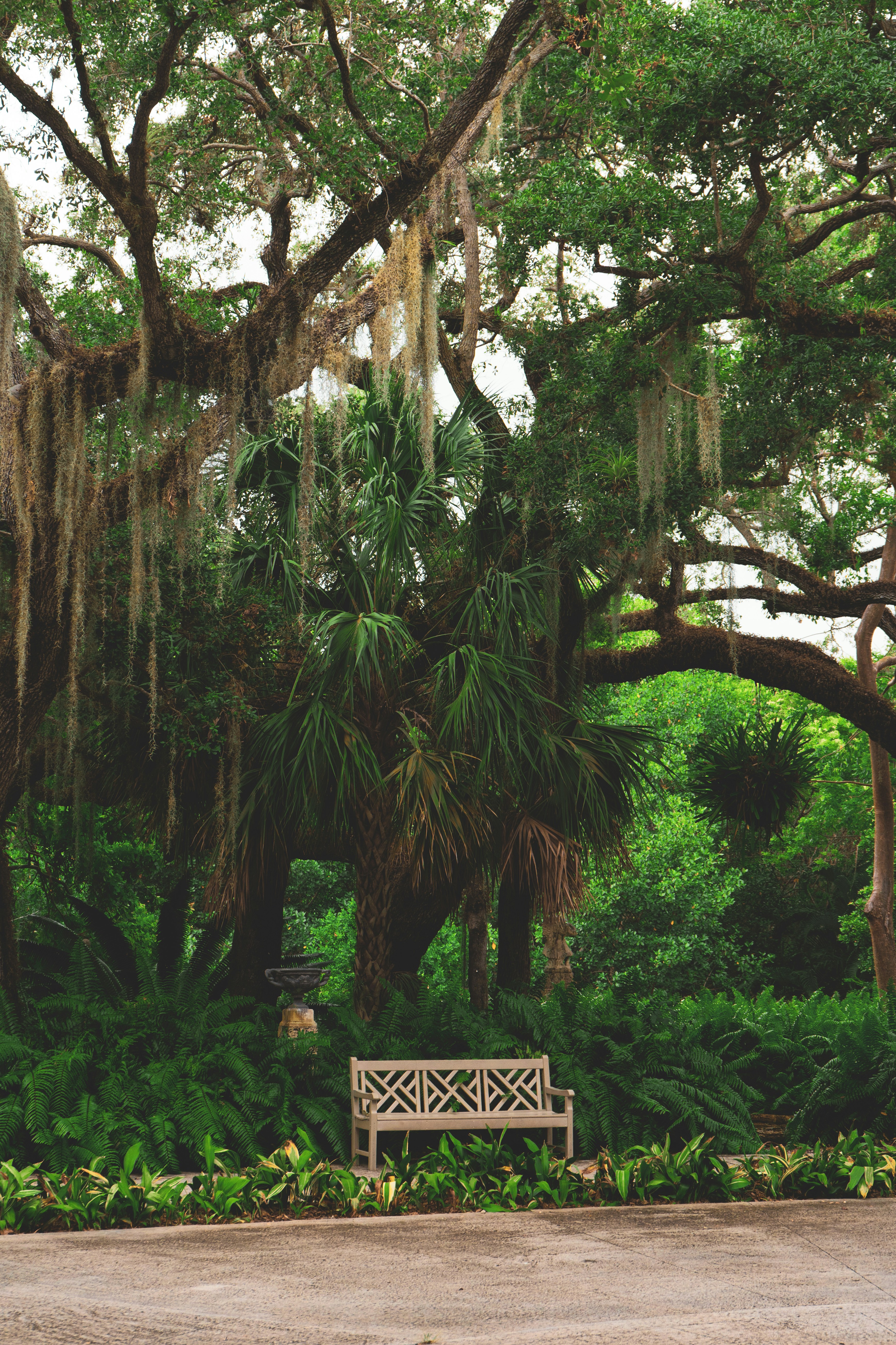 Photo by mayertawfik