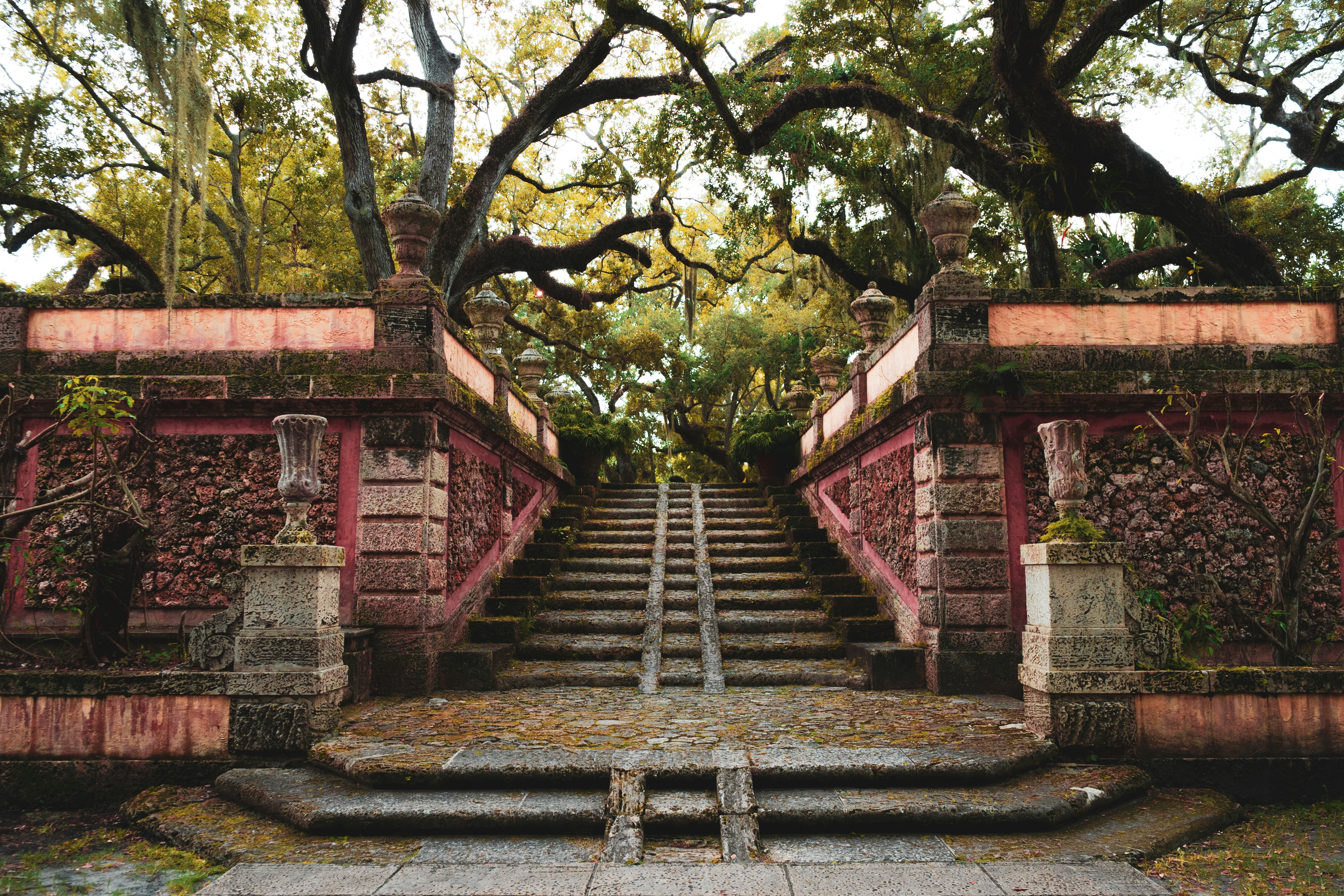 a set of stairs leading up to a tree