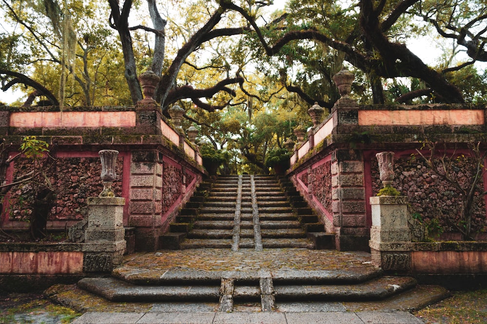 a set of stairs leading up to a tree