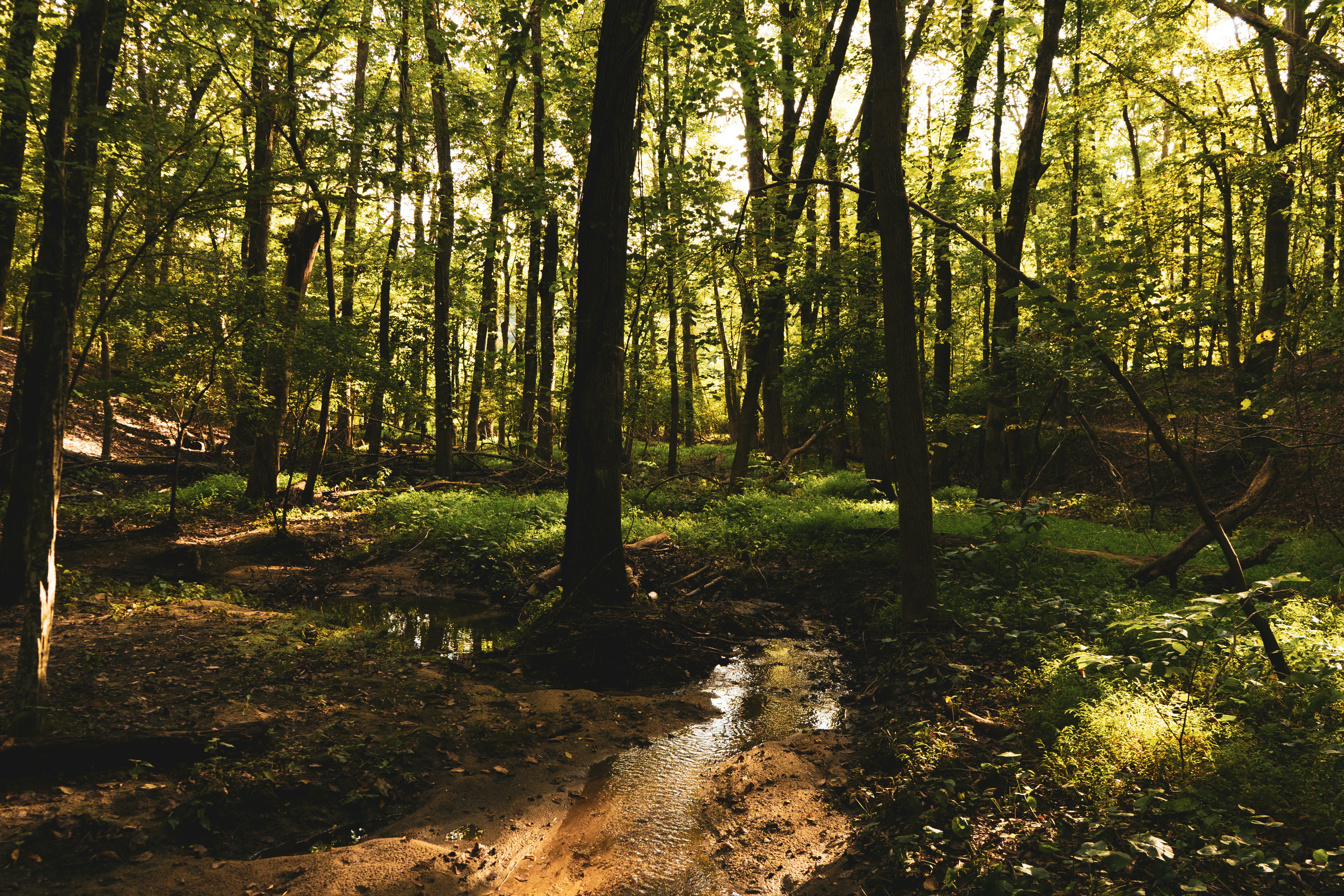 Photo by mayertawfik