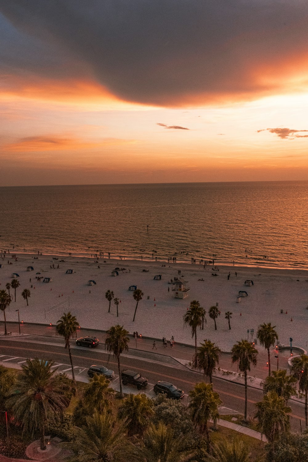 a beach with cars parked on the sand and palm trees