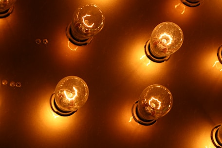 A neatly arranged display of various bulbs, switches, and sockets shining warmly.