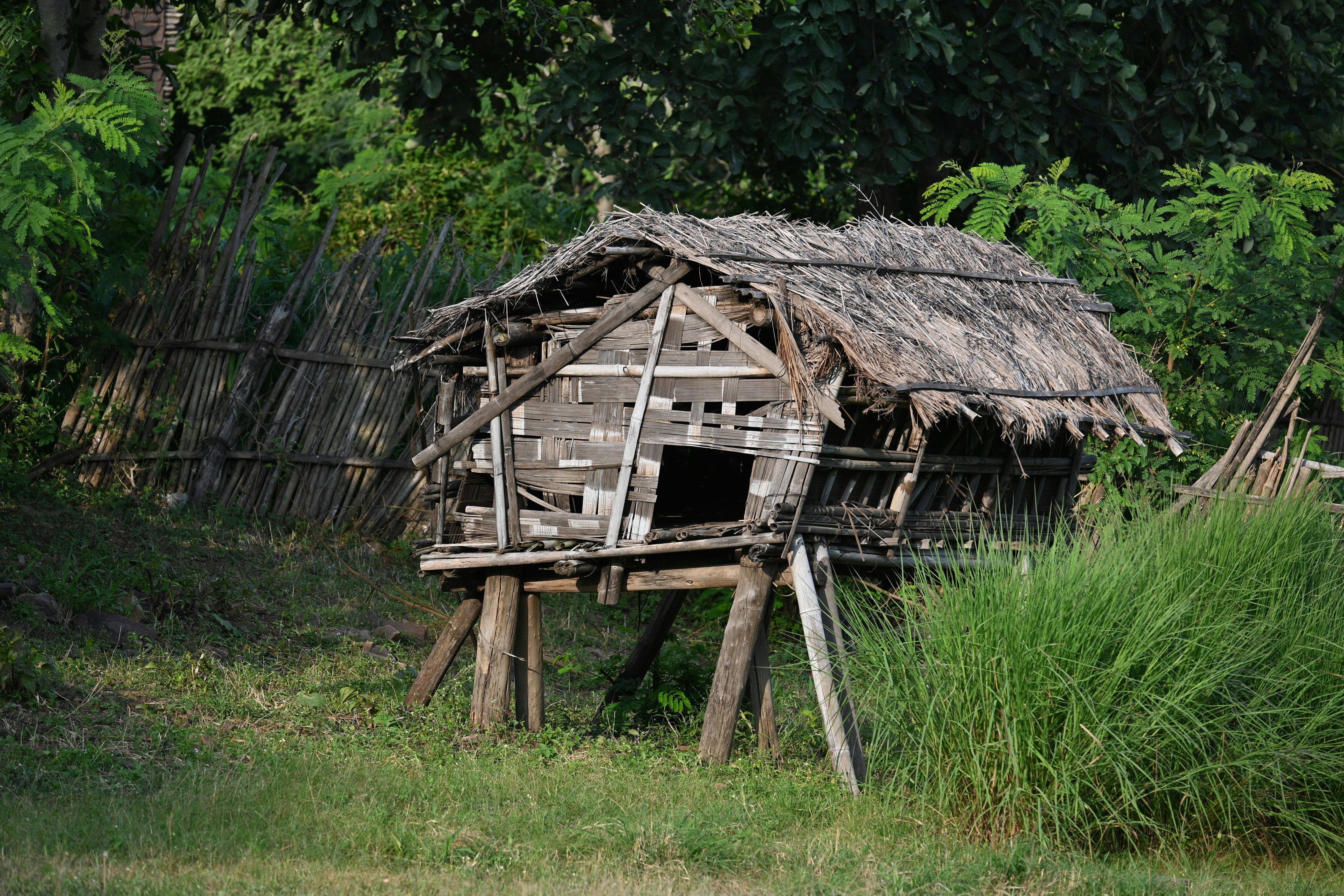 Photo by manishphotography18