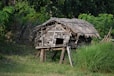 A rustic wooden hut elevated on stilts, constructed with bamboo and thatched roofing, set amidst lush greenery and wild grass. A bamboo fence is visible in the background, blending into the dense forest area.