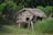A rustic wooden hut elevated on stilts, constructed with bamboo and thatched roofing, set amidst lush greenery and wild grass. A bamboo fence is visible in the background, blending into the dense forest area.