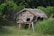 A rustic wooden hut elevated on stilts, constructed with bamboo and thatched roofing, set amidst lush greenery and wild grass. A bamboo fence is visible in the background, blending into the dense forest area.
