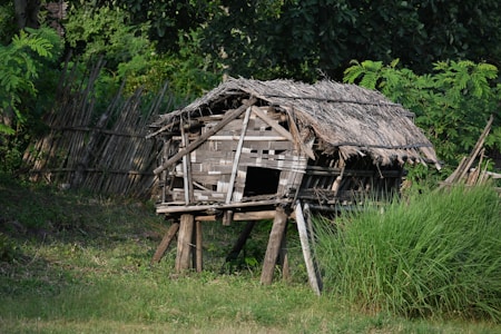 A rustic wooden hut elevated on stilts, constructed with bamboo and thatched roofing, set amidst lush greenery and wild grass. A bamboo fence is visible in the background, blending into the dense forest area.