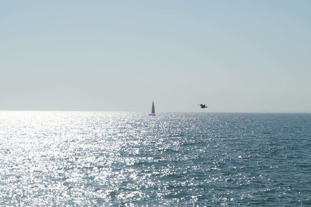 una barca a vela in mezzo a un grande specchio d'acqua