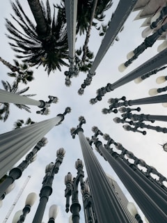 A low-angle photograph capturing tall street lamps arranged in an artistic manner with palm trees and a building visible in the background. The sky appears overcast, adding a dramatic effect to the composition.