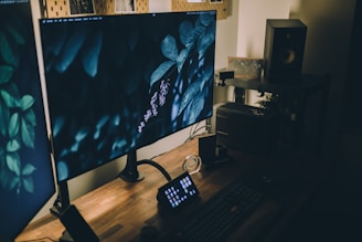 A dimly lit desk setup featuring a large monitor displaying a nature-themed wallpaper with leaves. The desk is equipped with a compact keyboard, a small control interface with buttons, and an audio speaker. A system unit is positioned on one side, and decorative elements like a small plant and a framed photo are present.