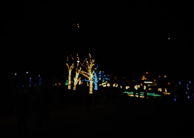 Colorful festival lights glowing warmly across a garden at dusk.