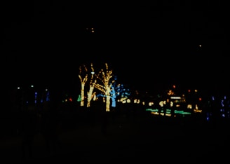 Outdoor garden glowing with vibrant festival lights wrapped around trees and shrubs