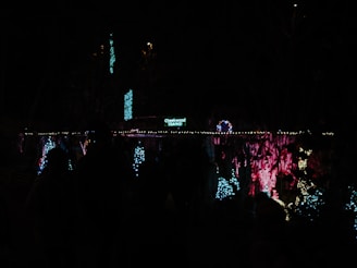 A dimly lit outdoor area is decorated with colorful lights and a sign reading 'Cheekwood Trains.' The arrangement involves strings of blue and white lights outlining trees and other features, with pink and red lights illuminating a textured backdrop. People can be faintly seen silhouetted against the illumination.