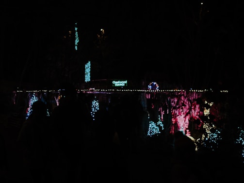 A dimly lit outdoor area is decorated with colorful lights and a sign reading 'Cheekwood Trains.' The arrangement involves strings of blue and white lights outlining trees and other features, with pink and red lights illuminating a textured backdrop. People can be faintly seen silhouetted against the illumination.