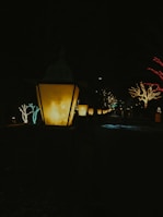 A nighttime scene showing glowing lanterns along a winding forest path.