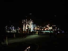 A warmly lit pathway in Porter Park decorated with colorful holiday lights at dusk.